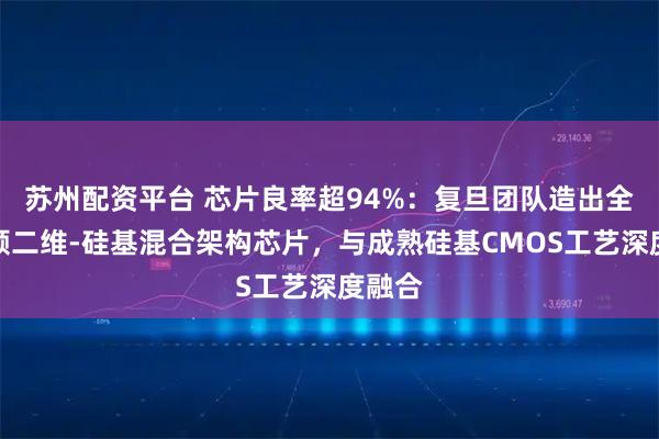 苏州配资平台 芯片良率超94%:复旦团队造出全球首颗二维-硅基混合架构芯片,与成熟硅基CMOS工艺深度融合