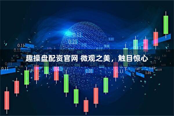 趣操盘配资官网 微观之美，触目惊心